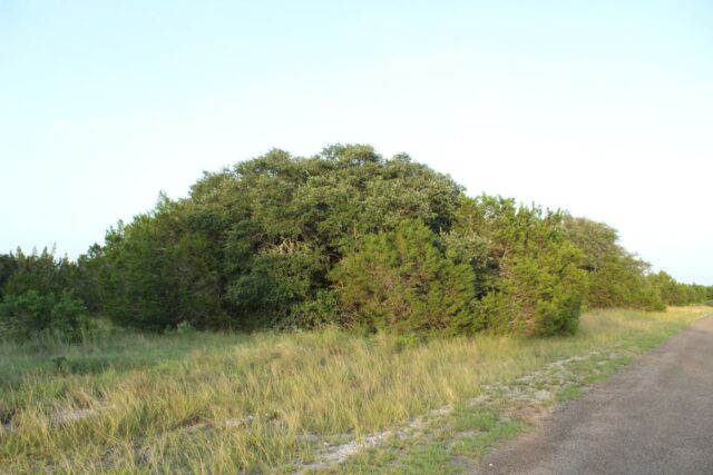 1.60-Acre Whitewater Springs Lot-194